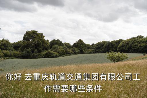 你好 去重慶軌道交通集團(tuán)有限公司工作需要哪些條件