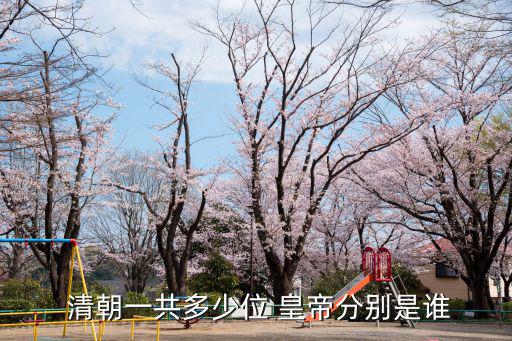 清朝的皇帝,清朝十二帝令:清太祖高皇帝年:天命
