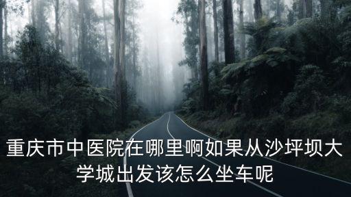 重慶市中醫院在哪里啊如果從沙坪壩大學城出發該怎么坐車呢