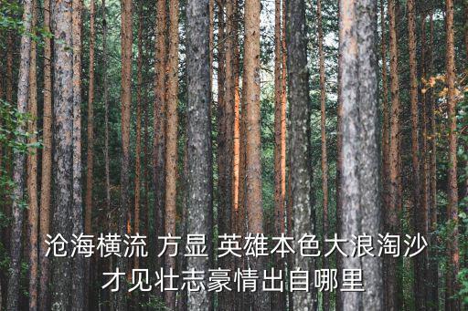 滄海橫流方顯英雄本色,第二集:滄海橫流方顯英雄本色
