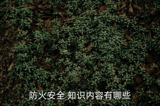 滅火知識,正確做法是先關掉氣源后迅速蓋上鍋蓋