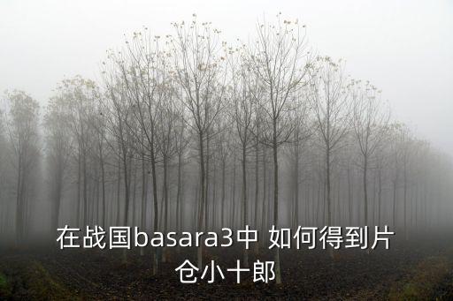 在戰國basara3中 如何得到片倉小十郎