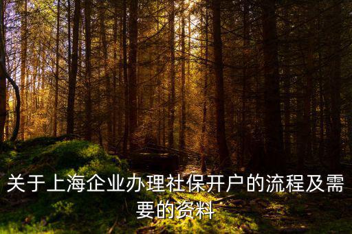 關(guān)于上海企業(yè)辦理社保開(kāi)戶的流程及需要的資料