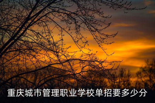 重慶城市管理職業學校單招要多少分