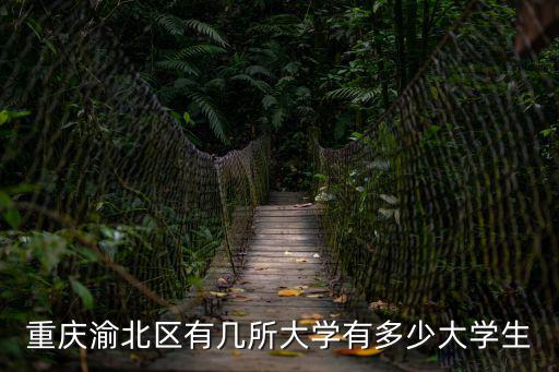 重慶渝北區有幾所大學有多少大學生