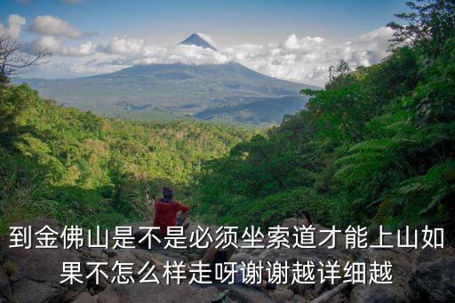 到金佛山是不是必須坐索道才能上山如果不怎么樣走呀謝謝越詳細越