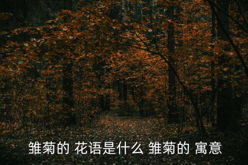  雛菊的 花語是什么 雛菊的 寓意