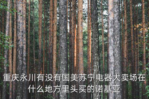 重慶永川有沒有國美蘇寧電器大賣場在什么地方里頭買的諾基亞