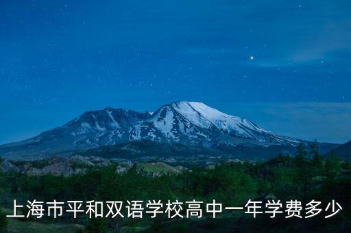 上海市平和雙語學校高中一年學費多少