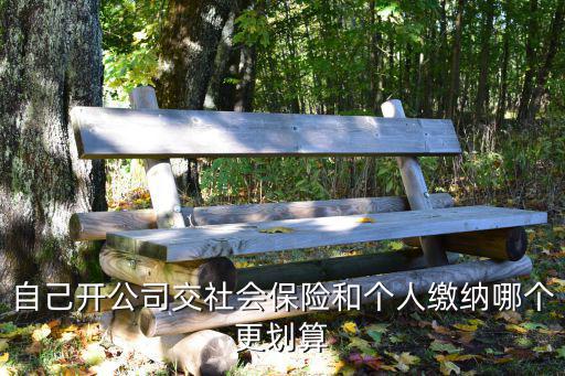 自己開公司交社保劃算嗎，自己開公司交社會保險和個人繳納哪個更劃算