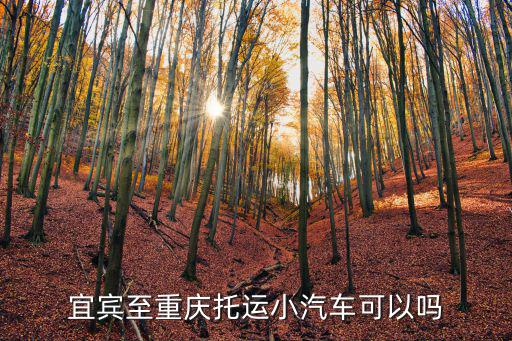 宜賓至重慶托運小汽車可以嗎