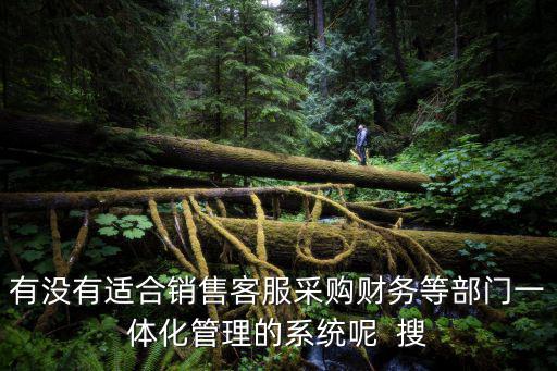 有沒有適合銷售客服采購財(cái)務(wù)等部門一體化管理的系統(tǒng)呢  搜