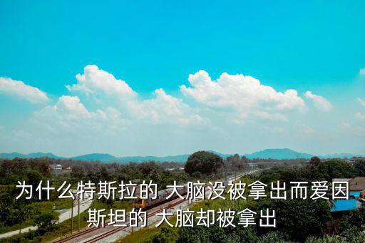 大腦圖片,9歲前受教育影響最大現象就像溫室里的花