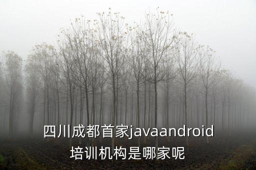 四川成都首家javaandroid培訓機構是哪家呢