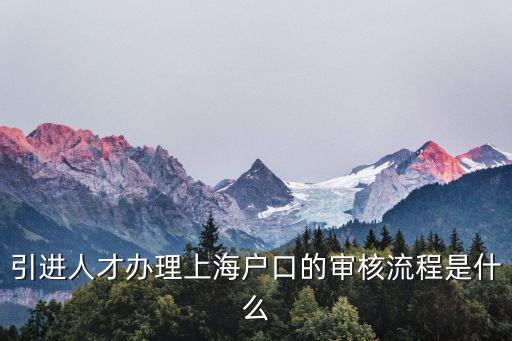 引進人才辦理上海戶口的審核流程是什么