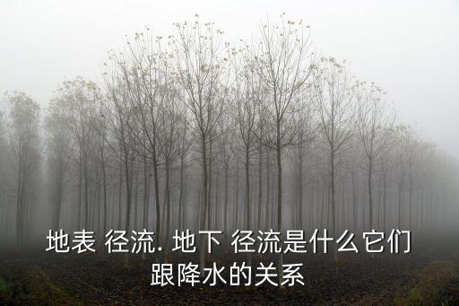 地下徑流,先有降水后有徑流什么樣的水循環(huán)系統(tǒng)?