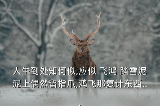 人生到處知何似,應似 飛鴻 踏雪泥泥上偶然留指爪,鴻飛那復計東西...