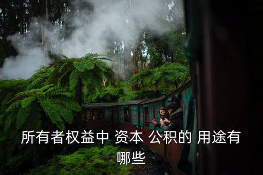 資本公積的用途,資本公積是指投資者投入的資產或享有的資金