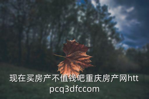 現(xiàn)在買(mǎi)房產(chǎn)不值錢(qián)吧重慶房產(chǎn)網(wǎng)httpcq3dfccom