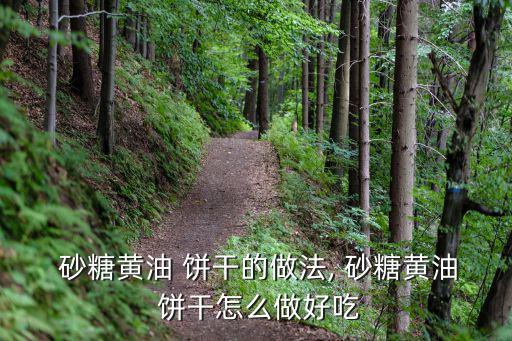  砂糖黃油 餅干的做法, 砂糖黃油 餅干怎么做好吃
