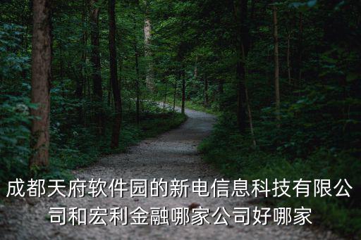 成都天府軟件園的新電信息科技有限公司和宏利金融哪家公司好哪家