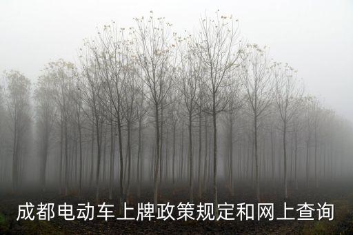 成都電動車上牌政策規定和網上查詢