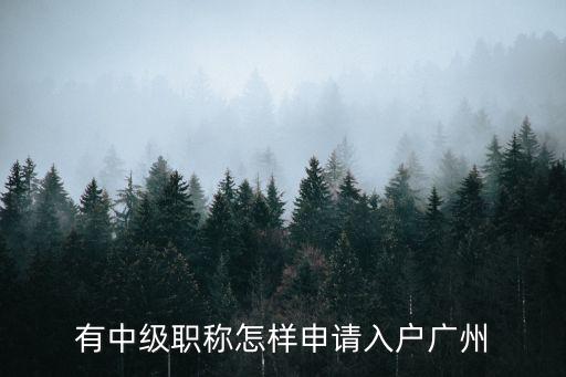 中級職稱落戶廣州的條件，考職稱證書可以入戶廣州嗎