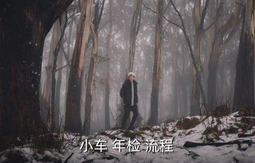 年檢流程,車輛登記限制汽車年檢可提前三個月