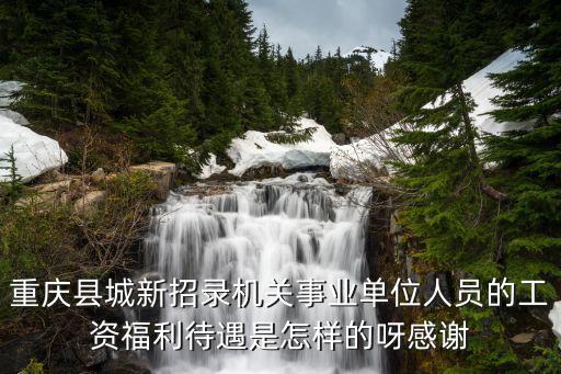 重慶縣城新招錄機關事業(yè)單位人員的工資福利待遇是怎樣的呀感謝