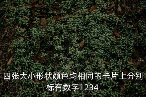 四張大小形狀顏色均相同的卡片上分別標有數字1234