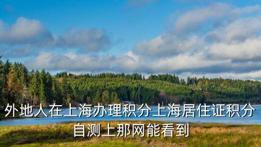 外地人在上海辦理積分上海居住證積分自測上那網能看到