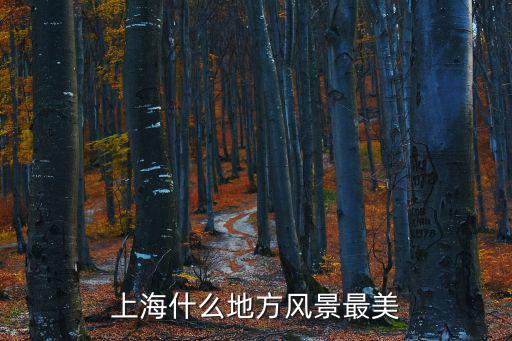 上海什么地方風景最美