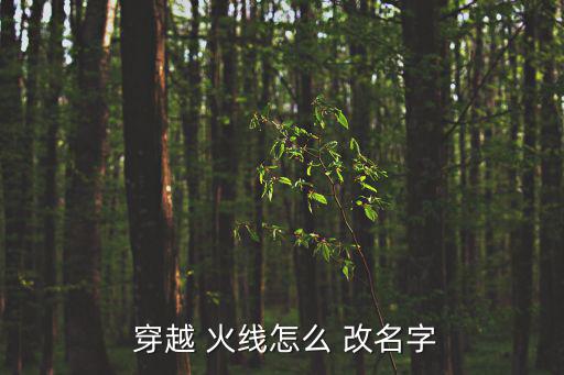  穿越 火線怎么 改名字