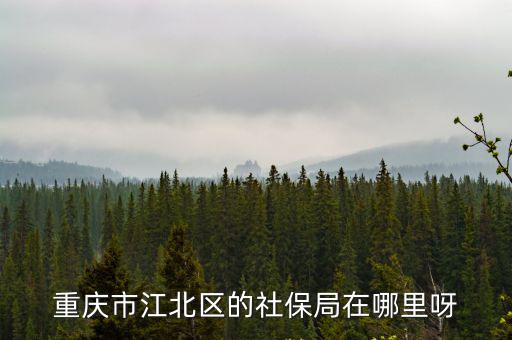 重慶市江北區社保局有那幾個點，重慶市江北區的社保局在哪里呀