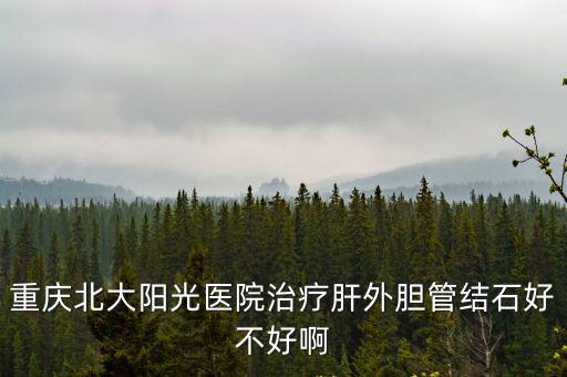 重慶北大陽光醫院治療肝外膽管結石好不好啊