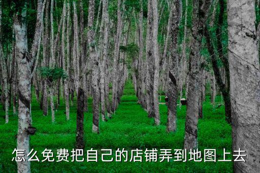 怎么免費把自己的店鋪弄到地圖上去