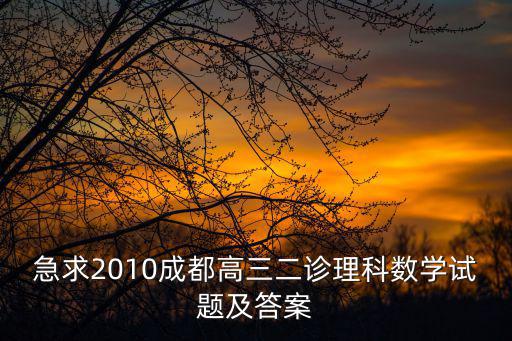急求2010成都高三二診理科數(shù)學(xué)試題及答案