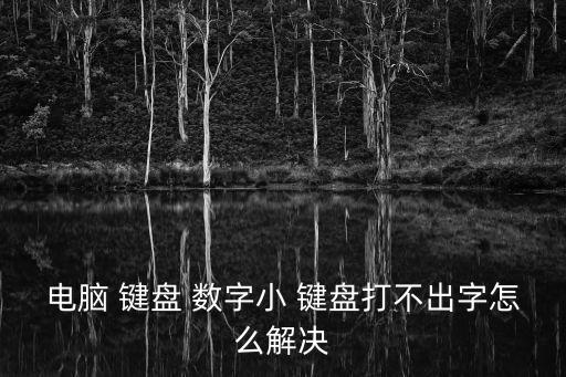 電腦 鍵盤 數字小 鍵盤打不出字怎么解決
