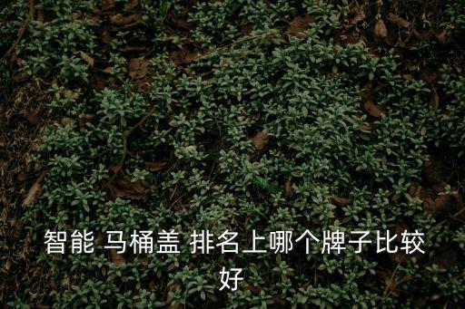  智能 馬桶蓋 排名上哪個(gè)牌子比較好