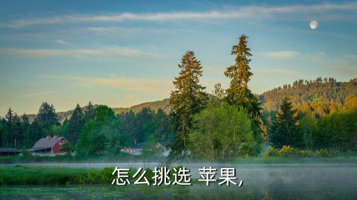 怎么挑選 蘋果,