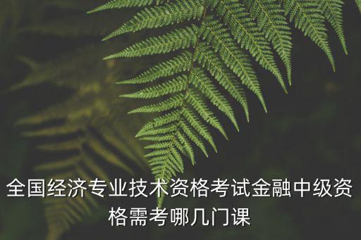 全國經濟專業技術資格考試金融中級資格需考哪幾門課