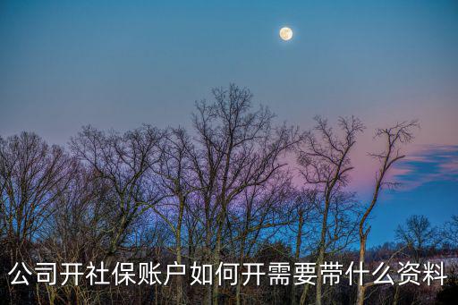 公司開社保賬戶如何開需要帶什么資料