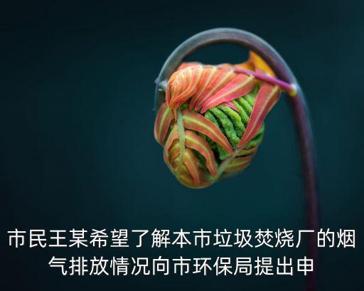 市民王某希望了解本市垃圾焚燒廠的煙氣排放情況向市環保局提出申