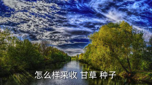 甘草種子,溫度升至10℃時開始緩慢萌發