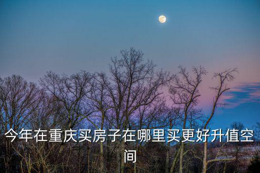 今年在重慶買房子在哪里買更好升值空間