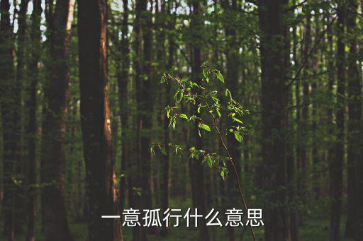  一意孤行什么意思