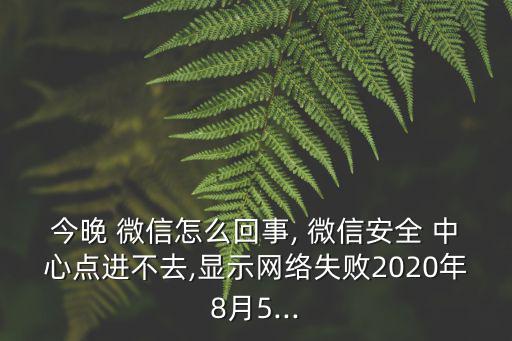 今晚 微信怎么回事, 微信安全 中心點進不去,顯示網絡失敗2020年8月5...