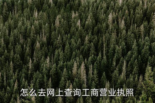 怎么去網(wǎng)上查詢工商營業(yè)執(zhí)照