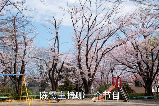 陳霞主持哪一個節目