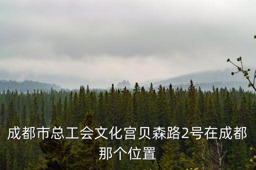成都市總工會(huì)文化宮貝森路2號(hào)在成都那個(gè)位置